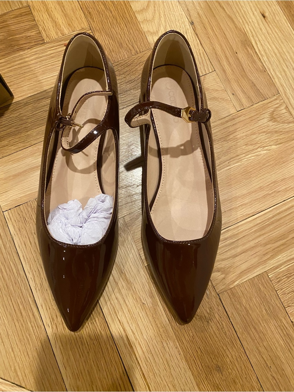 Pointed Patent Mary Jane Flats in Dark Brown